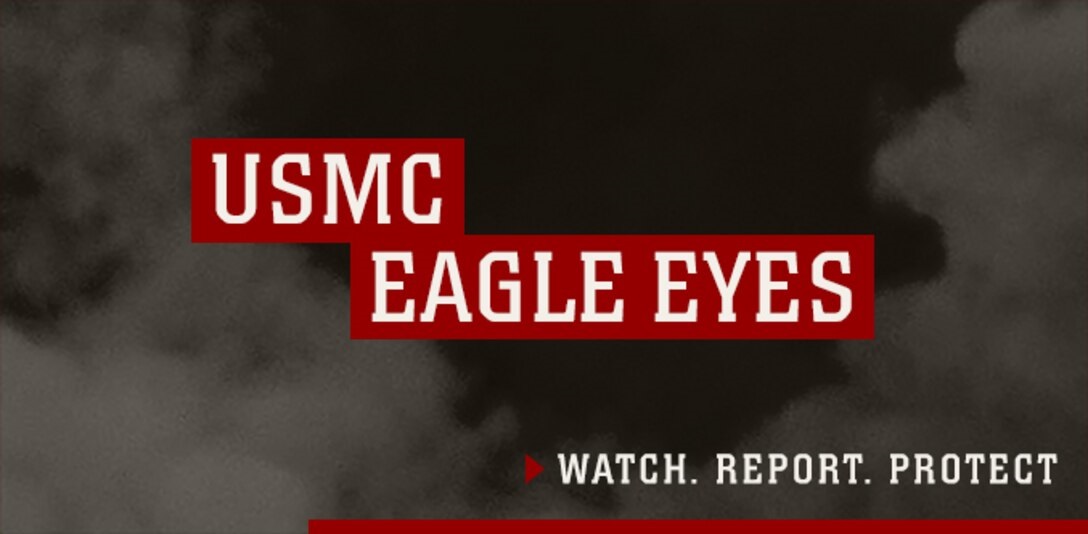 Homepage Tiles - Marines - Eagle Eyes.jpg